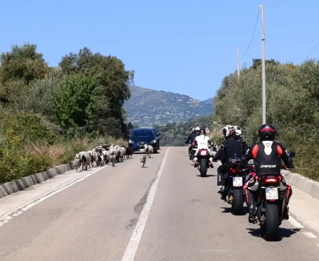 Sardinien-Tour – Foto 4
